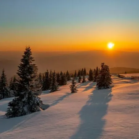 Zupa 111 - Zupa, * Kopaonik