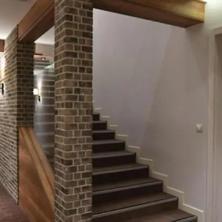 Zupa 111 - Zupa, Kopaonik